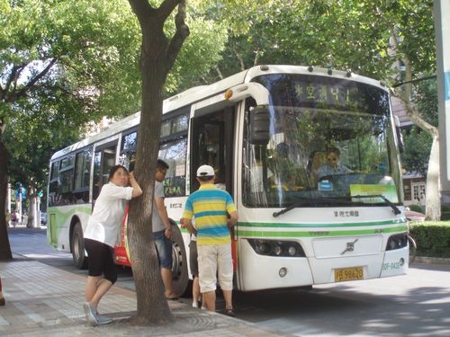 都市运输秘籍金钱/都市运输安卓-第3张图片-多林游戏 都市运输秘籍金钱/都市运输安卓-第3张图片-多林游戏