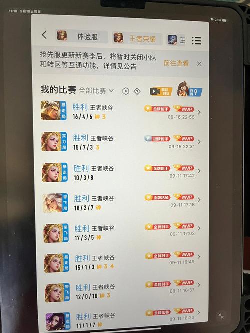 苹果怎么看王者战绩记录查询,苹果手机王者战绩怎么查?-第2张图片-多林游戏 苹果怎么看王者战绩记录查询,苹果手机王者战绩怎么查?-第2张图片-多林游戏