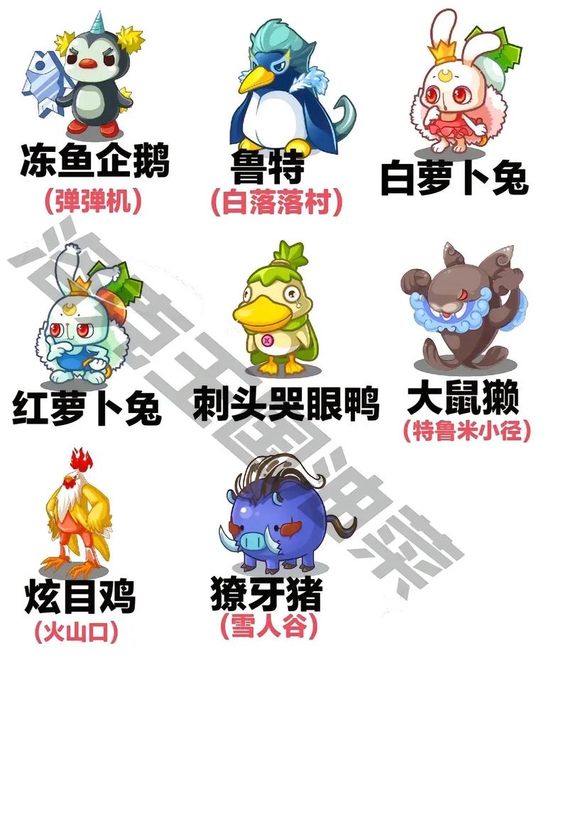洛克王国怎么训练宠物/洛克王国怎么培养宠物能力