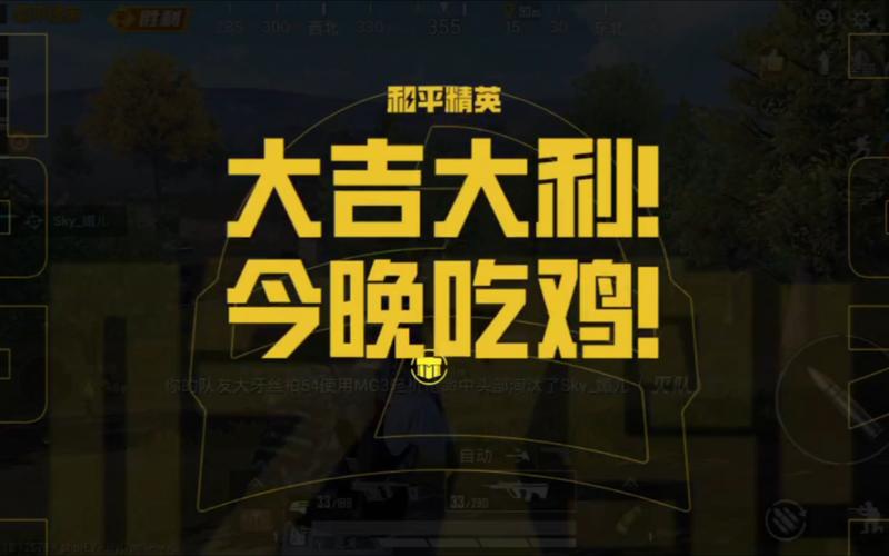 吃鸡和平精英游戏解说红尘/红尘的和平精英游戏视频解说-第4张图片-多林游戏 吃鸡和平精英游戏解说红尘/红尘的和平精英游戏视频解说-第4张图片-多林游戏