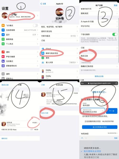 王者qq怎么全额退款/王者如何退钱-第7张图片-多林游戏 王者qq怎么全额退款/王者如何退钱-第7张图片-多林游戏