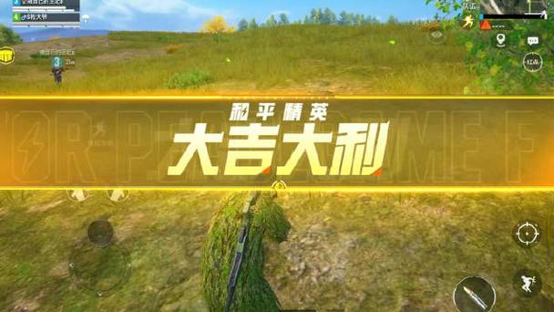 和平精英真相解说吃鸡,和平精英真相解说吃鸡视频?-第3张图片-多林游戏 和平精英真相解说吃鸡,和平精英真相解说吃鸡视频?-第3张图片-多林游戏