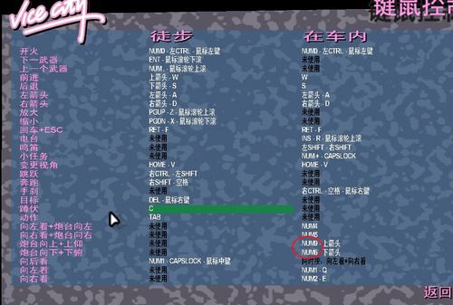 罪恶都市怎么开客机?/罪恶都市如何开客机-第4张图片-多林游戏 罪恶都市怎么开客机?/罪恶都市如何开客机-第4张图片-多林游戏