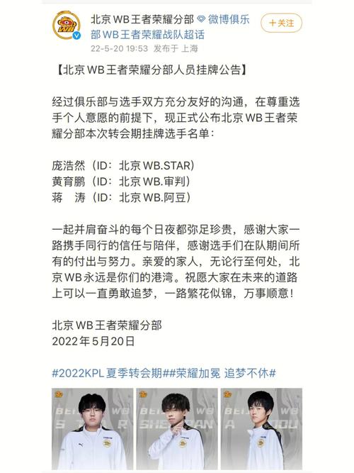 wb王者荣耀战队成员/王者荣耀wjy战队成员