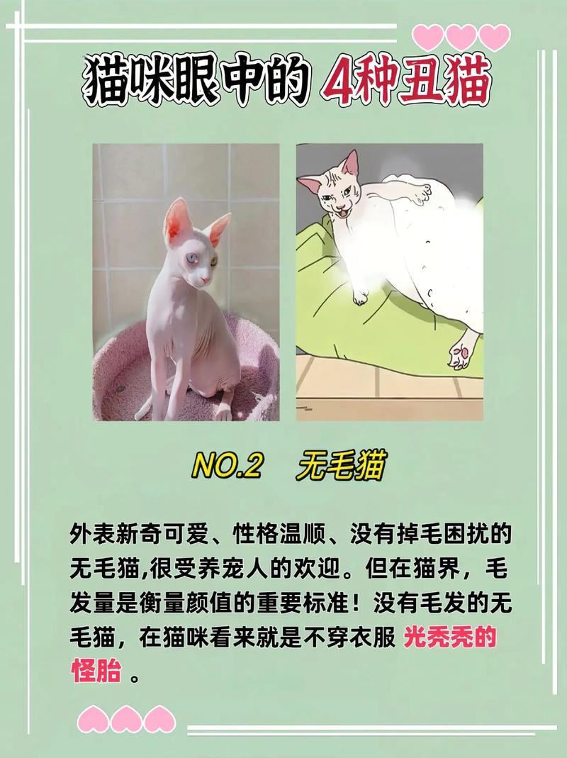 和平精英网红主播的名字,和平精英名气主播?-第3张图片-多林游戏 和平精英网红主播的名字,和平精英名气主播?-第3张图片-多林游戏