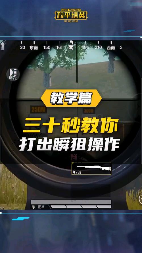 和平精英技巧教学瞬狙/在和平精英里如何瞬狙-第1张图片-多林游戏 和平精英技巧教学瞬狙/在和平精英里如何瞬狙-第1张图片-多林游戏