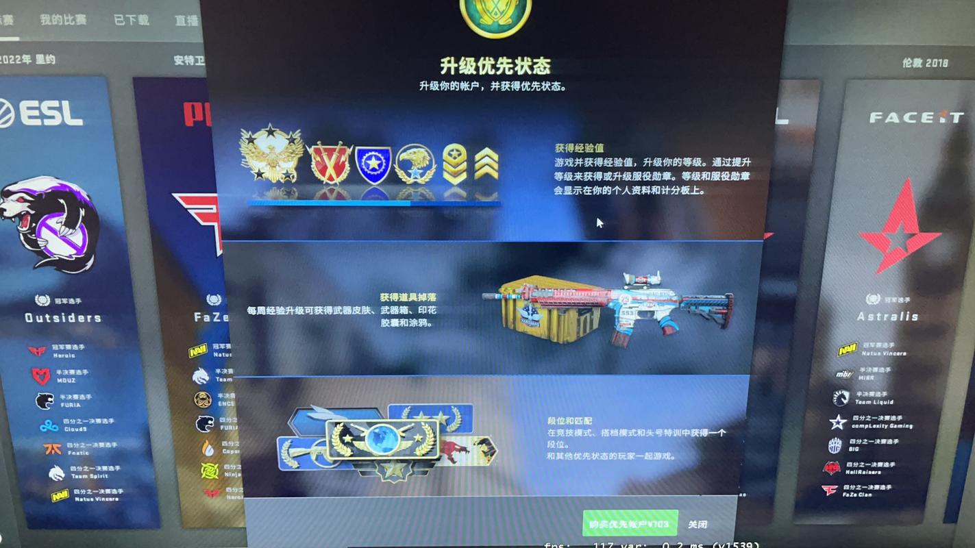 csgo优先账户是永久的吗,csgo优先账户有啥用?-第6张图片-多林游戏 csgo优先账户是永久的吗,csgo优先账户有啥用?-第6张图片-多林游戏