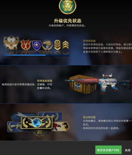 csgo优先账户是永久的吗,csgo优先账户有啥用?-第7张图片-多林游戏 csgo优先账户是永久的吗,csgo优先账户有啥用?-第7张图片-多林游戏