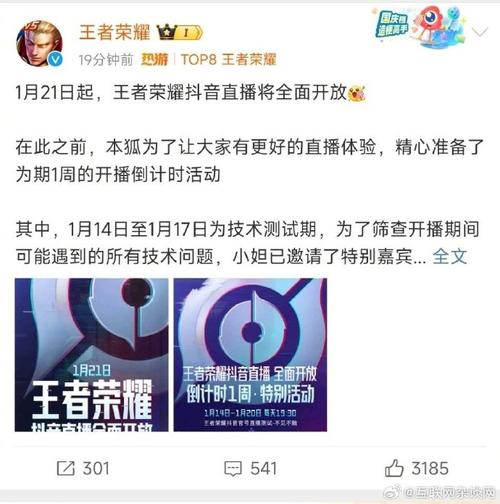 电脑直播王者荣耀怎么投屏到电视上看,王者荣耀怎么在电脑上直播,怎么投屏(最新)-第7张图片-多林游戏 电脑直播王者荣耀怎么投屏到电视上看,王者荣耀怎么在电脑上直播,怎么投屏(最新)-第7张图片-多林游戏