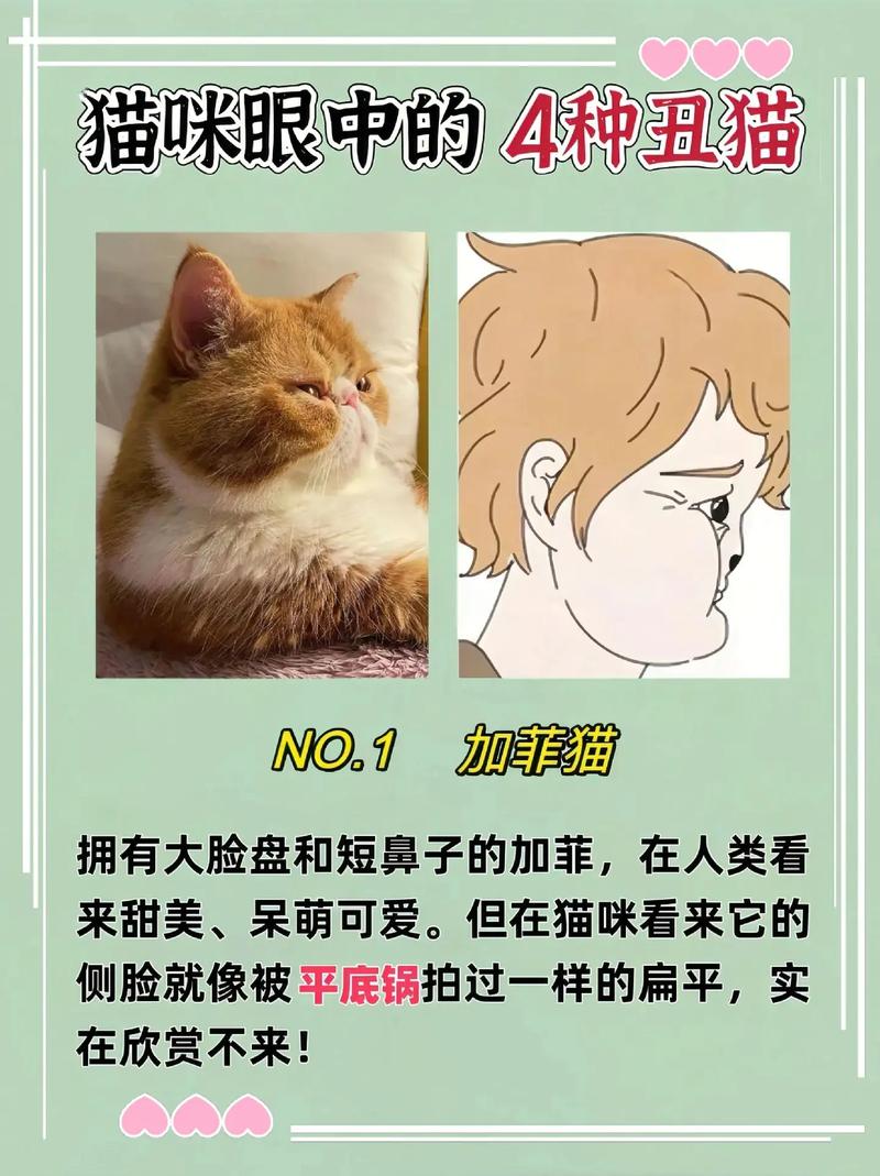 和平精英网红大主播名字/和平精英主播的和平精英名字