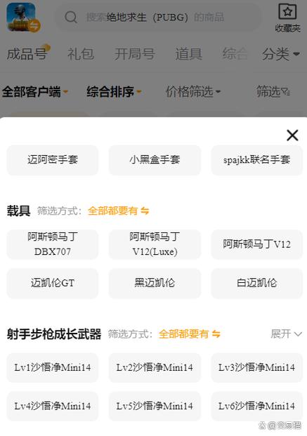 绝地求生账号怎么购买/绝地求生账号购买流程-第1张图片-多林游戏 绝地求生账号怎么购买/绝地求生账号购买流程-第1张图片-多林游戏