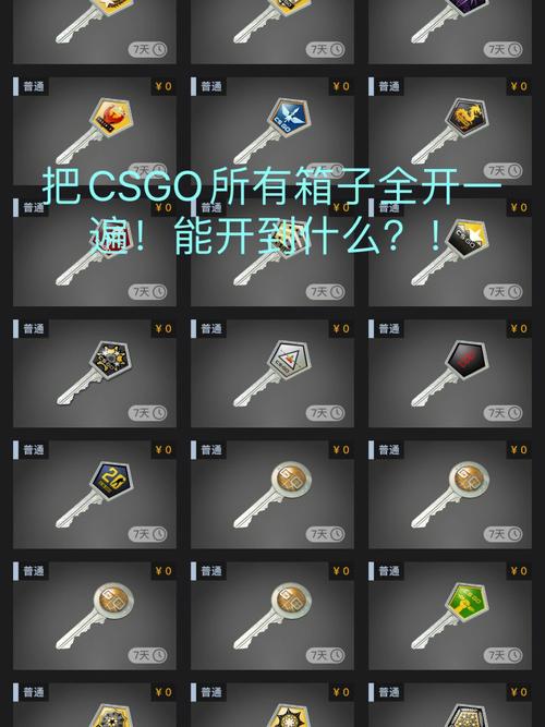 csgo单机模式怎么开,csgo单机版怎么打开?-第2张图片-多林游戏 csgo单机模式怎么开,csgo单机版怎么打开?-第2张图片-多林游戏