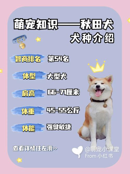 阴阳师有什么动物,阴阳师哪一个生肖(最新)-第1张图片-多林游戏 阴阳师有什么动物,阴阳师哪一个生肖(最新)-第1张图片-多林游戏