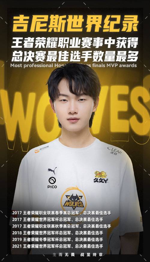 王者荣耀职业选手身价比较高多少/王者职业选手收入