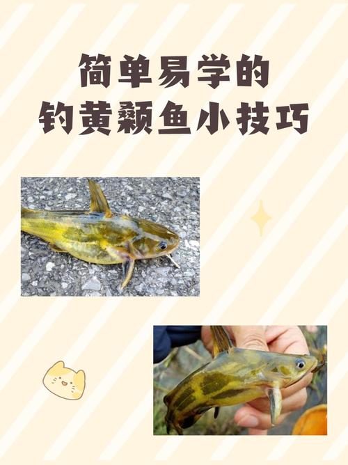 贪食鱼多少钱一斤,贪吃鱼2?-第4张图片-多林游戏 贪食鱼多少钱一斤,贪吃鱼2?-第4张图片-多林游戏