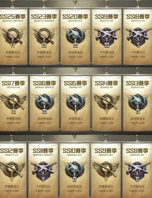 和平精英24赛季的铂金皮肤/和平精英ss14赛季铂金皮肤-第2张图片-多林游戏 和平精英24赛季的铂金皮肤/和平精英ss14赛季铂金皮肤-第2张图片-多林游戏