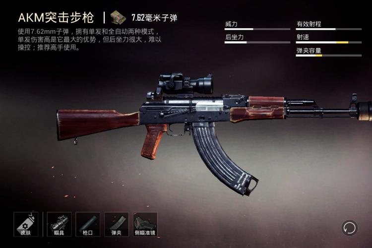 吃鸡和平精英解说武器库,和平精英武器库图片(最新)-第1张图片-多林游戏 吃鸡和平精英解说武器库,和平精英武器库图片(最新)-第1张图片-多林游戏