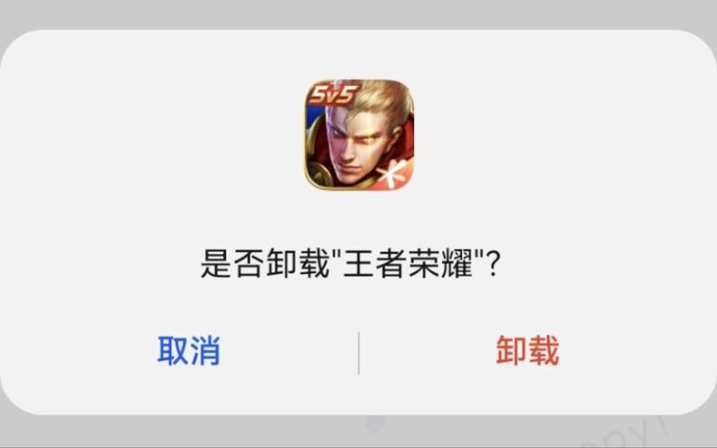 苹果清除王者荣耀缓存的方法,苹果清除王者荣耀缓存的方法是什么?-第7张图片-多林游戏 苹果清除王者荣耀缓存的方法,苹果清除王者荣耀缓存的方法是什么?-第7张图片-多林游戏