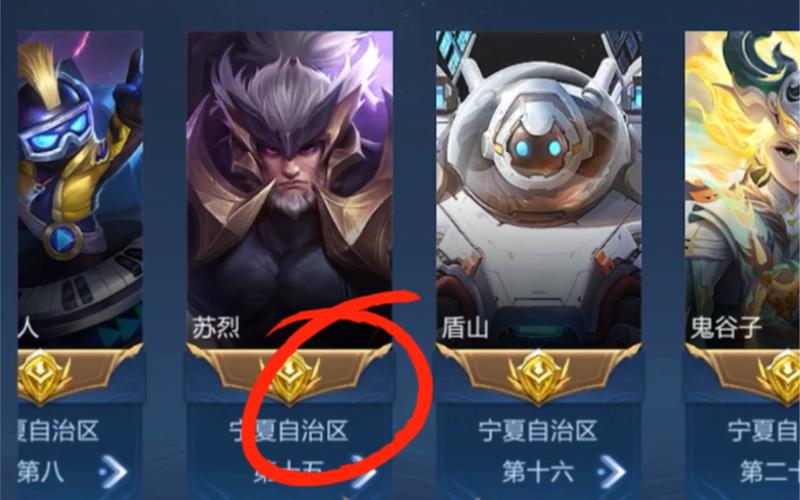 玩王者需要做什么准备,玩王者需要做什么准备呢(最新)-第5张图片-多林游戏 玩王者需要做什么准备,玩王者需要做什么准备呢(最新)-第5张图片-多林游戏