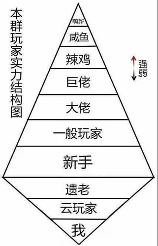 阴阳师什么是萌新/阴阳师什么是萌新攻击-第1张图片-多林游戏 阴阳师什么是萌新/阴阳师什么是萌新攻击-第1张图片-多林游戏
