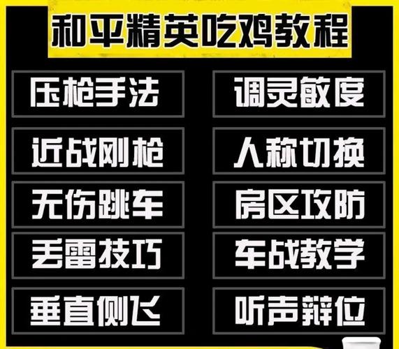吃鸡解说ak和平精英/和平精英ak是啥-第6张图片-多林游戏 吃鸡解说ak和平精英/和平精英ak是啥-第6张图片-多林游戏