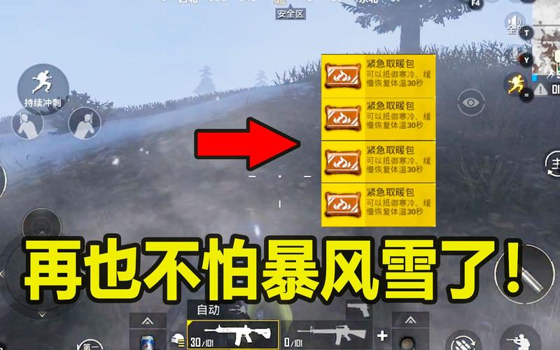 吃鸡和平精英极寒模式解说/和平精英里的极寒模式-第5张图片-多林游戏 吃鸡和平精英极寒模式解说/和平精英里的极寒模式-第5张图片-多林游戏