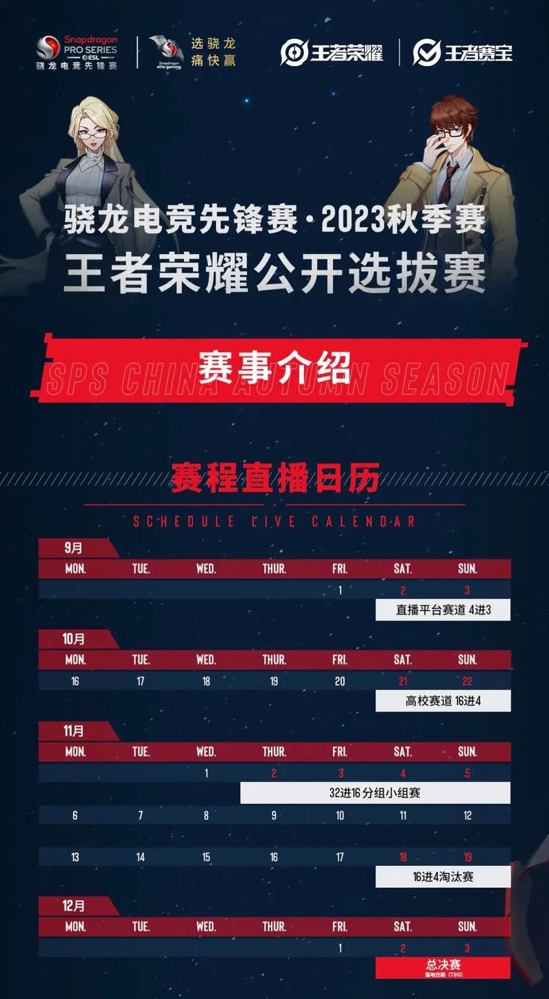 怎么可以去打王者职业比赛，怎样可以打王者荣耀职业联赛（最新）