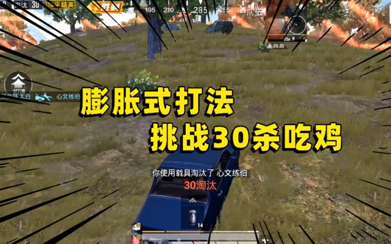 吃鸡解说和平精英陈大白/吃鸡 和平精英陈大白-第3张图片-多林游戏 吃鸡解说和平精英陈大白/吃鸡 和平精英陈大白-第3张图片-多林游戏