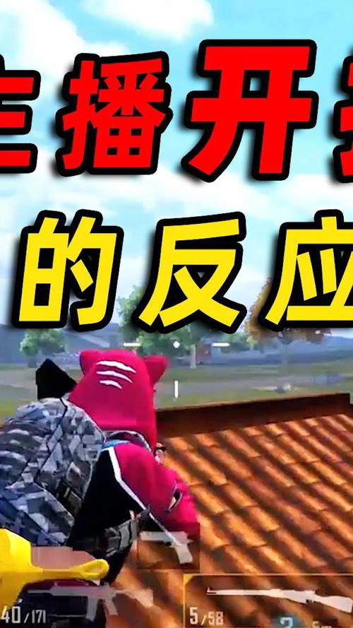 吃鸡解说和平精英陈大白/吃鸡 和平精英陈大白-第6张图片-多林游戏 吃鸡解说和平精英陈大白/吃鸡 和平精英陈大白-第6张图片-多林游戏