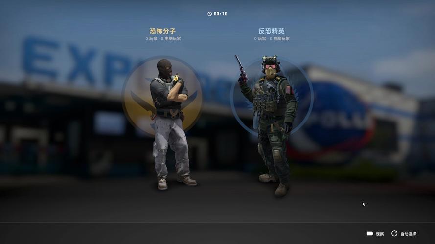 csgo有单机版吗,csgo能单机吗 可以单机玩吗(最新)-第4张图片-多林游戏 csgo有单机版吗,csgo能单机吗 可以单机玩吗(最新)-第4张图片-多林游戏