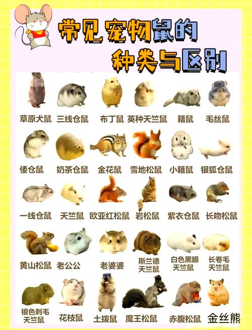 阴阳师是什么含义/阴阳师一词来源于哪里-第5张图片-多林游戏 阴阳师是什么含义/阴阳师一词来源于哪里-第5张图片-多林游戏
