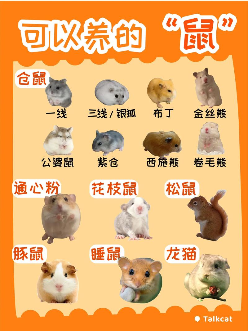 阴阳师是什么含义/阴阳师一词来源于哪里-第6张图片-多林游戏 阴阳师是什么含义/阴阳师一词来源于哪里-第6张图片-多林游戏