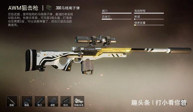 和平精英解说狙击枪吃鸡,狙击枪 和平精英?-第4张图片-多林游戏 和平精英解说狙击枪吃鸡,狙击枪 和平精英?-第4张图片-多林游戏