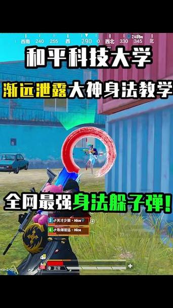 和平精英技巧教学和身法,和平精英身法和枪法技巧教学?-第6张图片-多林游戏 和平精英技巧教学和身法,和平精英身法和枪法技巧教学?-第6张图片-多林游戏