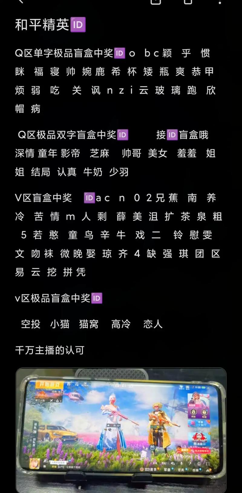 和平精英最拽的名字主播，和平精英很拽的名字（最新）