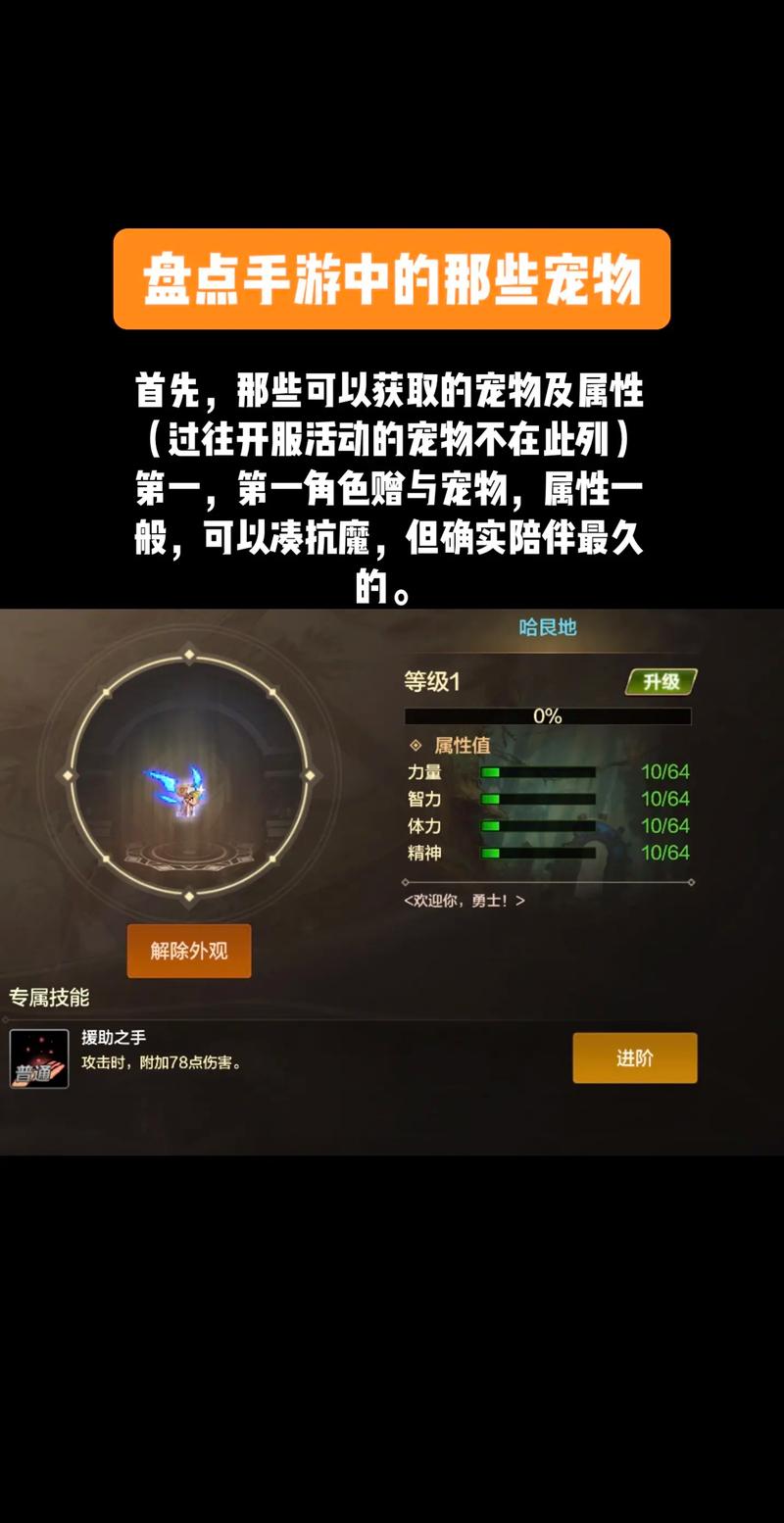 dnf拍卖行能买宠物吗/dnf拍卖行能买宠物吗安全吗-第4张图片-多林游戏 dnf拍卖行能买宠物吗/dnf拍卖行能买宠物吗安全吗-第4张图片-多林游戏